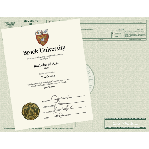 Fake Diploma and Transcript