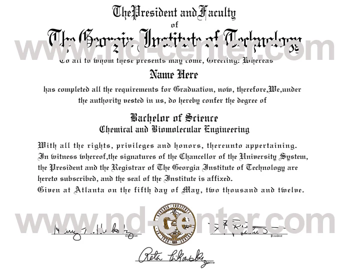 Georgia Institute of Technology