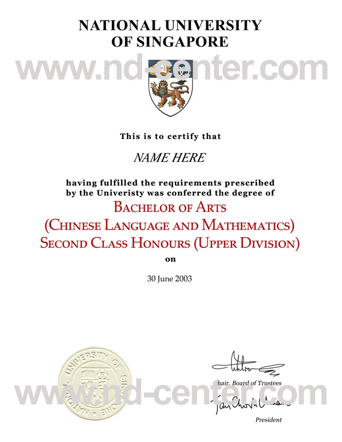 National University of Singapore