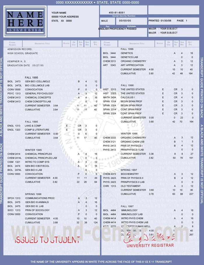 asset 17