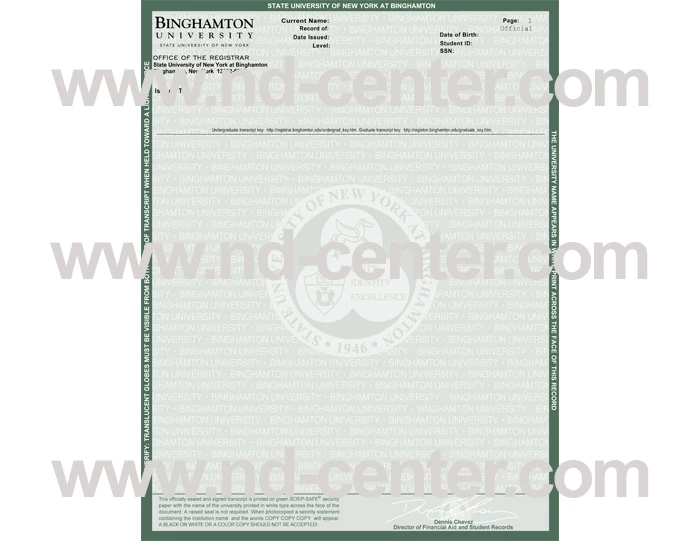 Binghamton University
