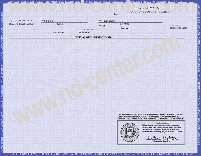 fake-college-diplomas