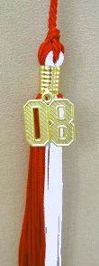 Fake Diploma Charms
